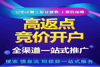 成功案例解析：SEO与SEM协同营销策略